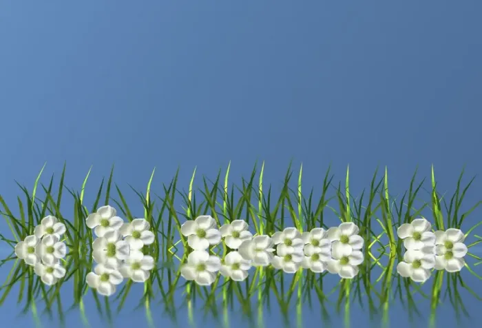 Framed Print : Flowers in the grass, mirroring, 3D graphics Framed Print : Flowers in the grass, mirroring, 3D graphics