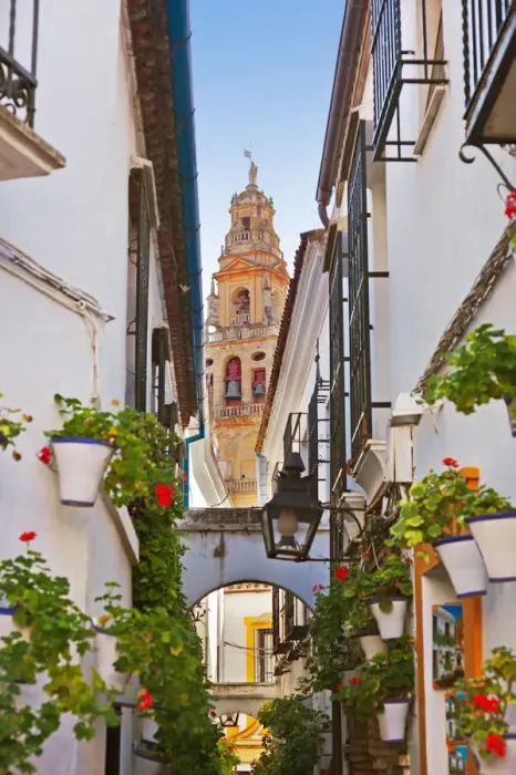Framed Print : Flowers street at Cordoba Spain Framed Print : Flowers street at Cordoba Spain