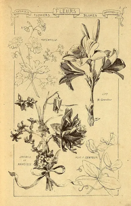 Framed Print : Flowers for using in Architectural design, Potentilla, Lily, Hyacinth and Narcissus, Sweet Pea, History of architecture, decoration and design, art, French, Victorian, 19th Century Framed Print : Flowers for using in Architectural design, Potentilla, Lily, Hyacinth and Narcissus, Sweet Pea, History of architecture, decoration and design, art, French, Victorian, 19th Century