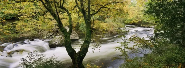Framed Print : A flowing river, Snowdonia, Wales, UK Framed Print : A flowing river, Snowdonia, Wales, UK