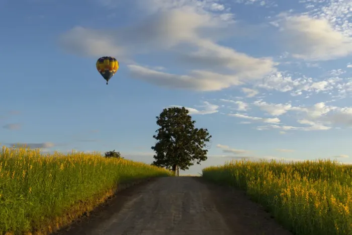 Framed Print : Flying balloon Framed Print : Flying balloon