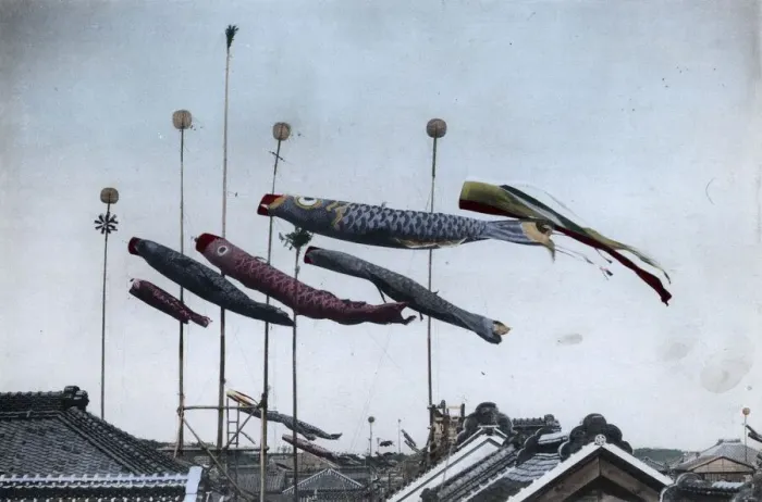Framed Print : Flying The Carp Framed Print : Flying The Carp