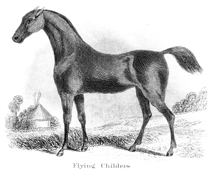 Framed Print : Flying Childers horse engraving 1873 Framed Print : Flying Childers horse engraving 1873