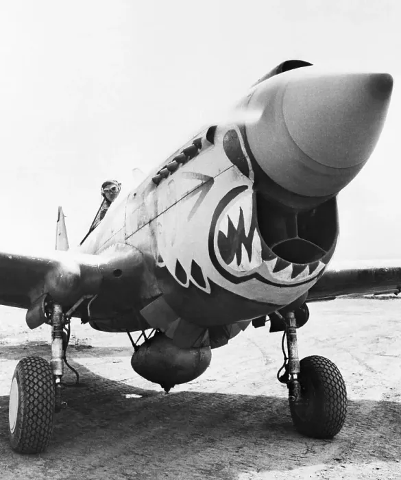 Framed Print : Flying Tiger Airplane Framed Print : Flying Tiger Airplane