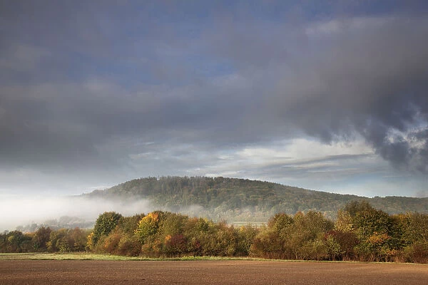 Fog in Altmuehl Valley in autumn, near Berching, Bavaria, Germany
