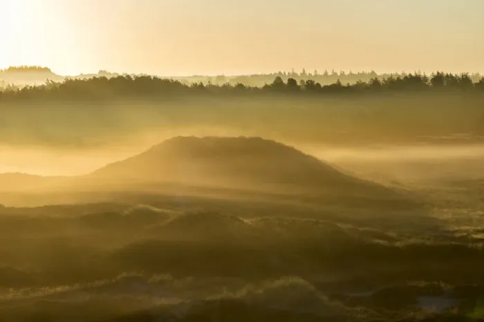 Framed Print : Fog over dunes and heathland at sunrise, Henne, Region of Southern Denmark, Denmark Framed Print : Fog over dunes and heathland at sunrise, Henne, Region of Southern Denmark, Denmark