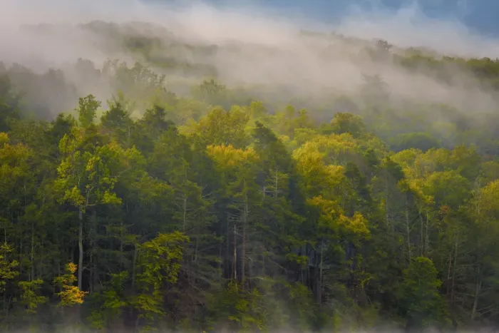 Framed Print : Fog over forest, Delaware Water Gap Recreational Area, Pennsylvania, USA Framed Print : Fog over forest, Delaware Water Gap Recreational Area, Pennsylvania, USA