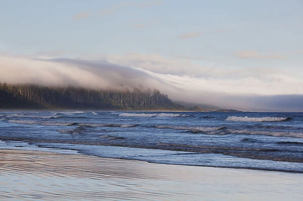Fog Forms Over The Temperate Rainforest Along Long Beach In Pacific Rim National Park Near Tofino
