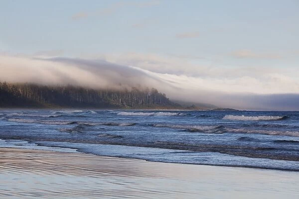 Fog Forms Over The Temperate Rainforest Along Long Beach In Pacific Rim National Park Near Tofino; British Columbia Canada