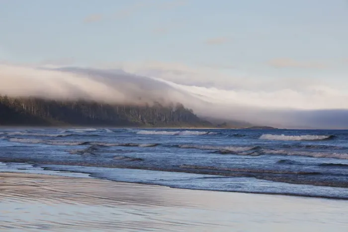 Framed Print : Fog Forms Over The Temperate Rainforest Along Long Beach In Pacific Rim National Park Near Tofino Framed Print : Fog Forms Over The Temperate Rainforest Along Long Beach In Pacific Rim National Park Near Tofino
