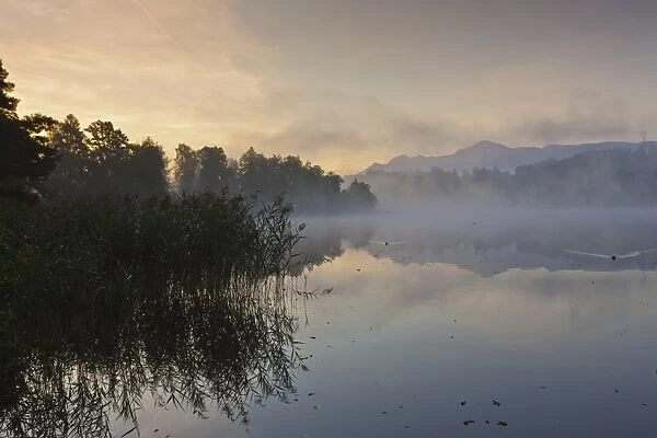 Fog on Lake Staffelsee with the island of Woerth near Seehausen, Murnau, Upper Bavaria, Bavaria, Germany, Europe, PublicGround