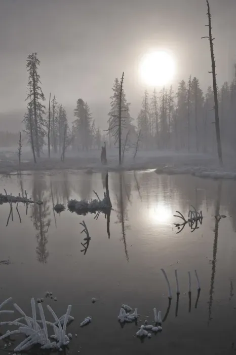 Framed Print : Fog at sunrise, Yellowstone National Park, Wyoming, USA