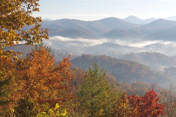 Fog in valleys of Smoky Mountain National Park viewed from Foothills Parkway, Tennessee, USA