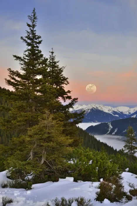 Framed Print : Fog over Zillertal Valley, Zillertal Alps at the back, moonrise from Loassattel, Schwaz, Tyrol, Austria Framed Print : Fog over Zillertal Valley, Zillertal Alps at the back, moonrise from Loassattel, Schwaz, Tyrol, Austria
