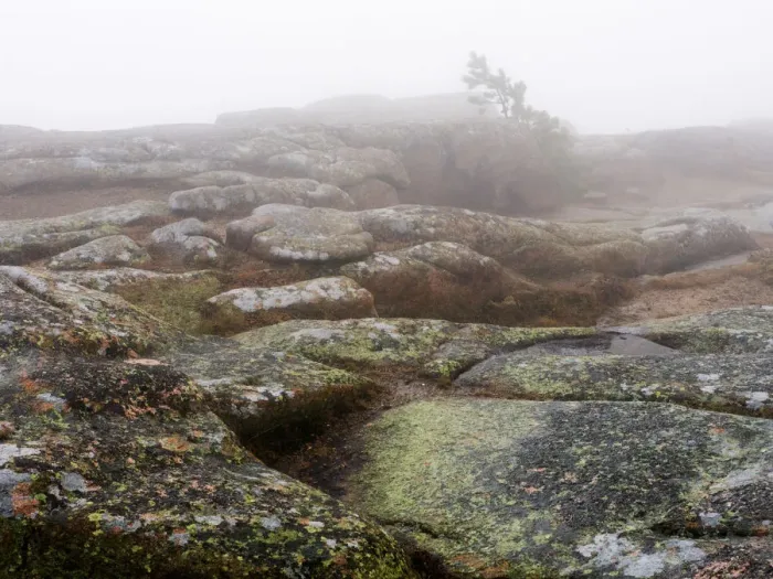 Framed Print : Foggy day. Foggy landscape on top of Cadillac Mountain in Acadia National Framed Print : Foggy day. Foggy landscape on top of Cadillac Mountain in Acadia National