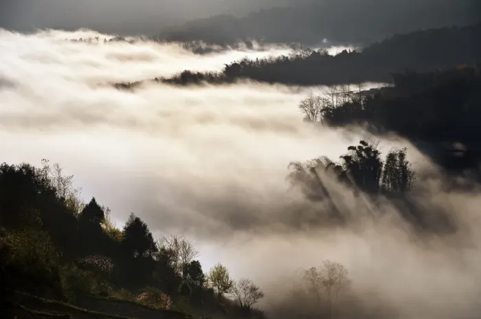 Framed Print : Foggy day in Yuanyang