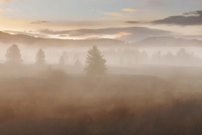 Framed Print : Foggy landscape of Grand Teton National Park at sunrise, Wyoming, USA Framed Print : Foggy landscape of Grand Teton National Park at sunrise, Wyoming, USA