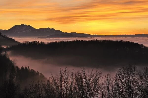 Foggy mood in the evening light with view on Mt. Pilatus, Zug, Switzerland, Europe