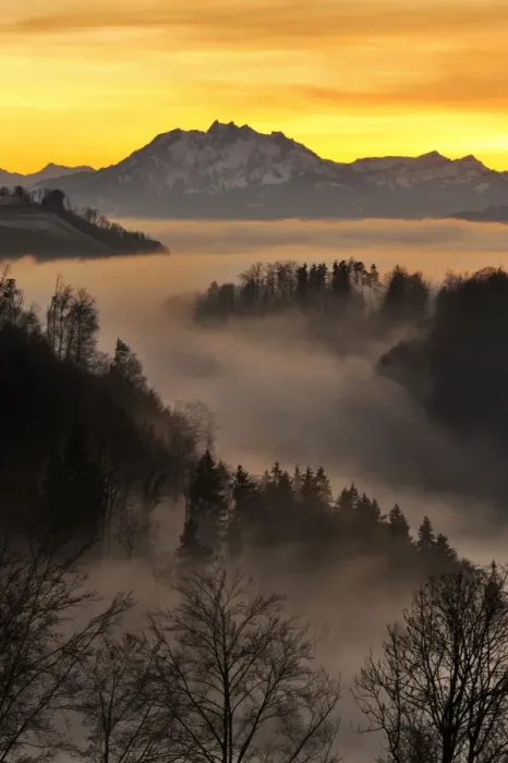 Framed Print : Foggy mood in the evening light with view on Mt. Pilatus, Zug, Switzerland, Europe Framed Print : Foggy mood in the evening light with view on Mt. Pilatus, Zug, Switzerland, Europe
