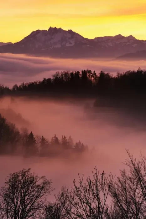 Framed Print : Foggy mood in the evening light with view on Mt. Pilatus, Zug, Switzerland, Europe Framed Print : Foggy mood in the evening light with view on Mt. Pilatus, Zug, Switzerland, Europe