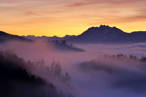 Foggy mood in the evening light with view on Mt. Pilatus, Zug, Switzerland, Europe