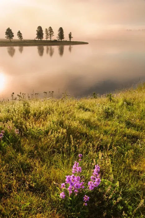 Framed Print : Foggy morning