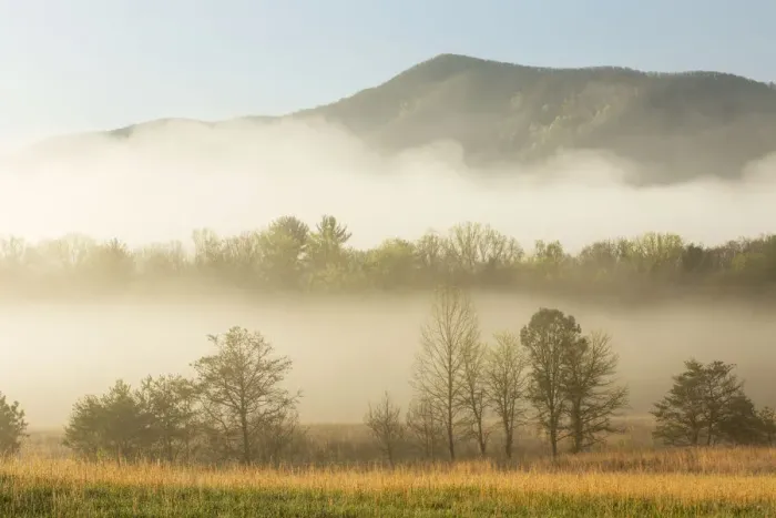Framed Print : Foggy morning, Cades Cove, Great Smoky Mountains National Park, Tennessee, USA Framed Print : Foggy morning, Cades Cove, Great Smoky Mountains National Park, Tennessee, USA