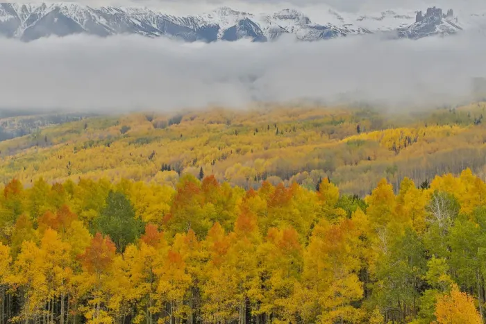 Framed Print : Foggy morning on Ohio Pass with Aspens in Fall color near Crested Butte, Colorado, USA Framed Print : Foggy morning on Ohio Pass with Aspens in Fall color near Crested Butte, Colorado, USA