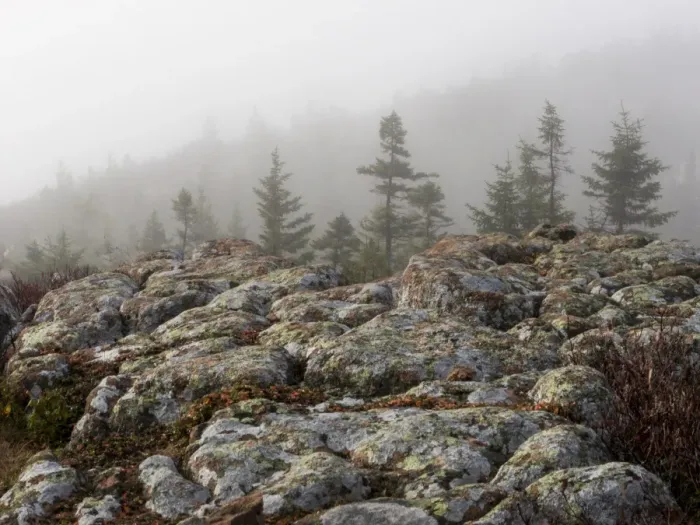 Framed Print : Foggy mountain landscape Framed Print : Foggy mountain landscape