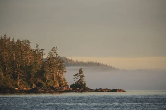 Framed Print : Foggy scene near Schooner Channel, Northern British Columbia, Canada