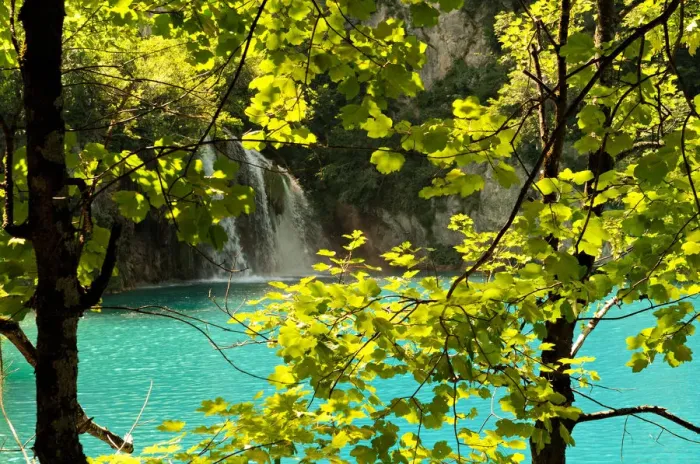 Framed Print : Behind the foliage - Plitvice Lakes National Park Framed Print : Behind the foliage - Plitvice Lakes National Park