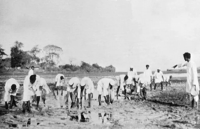 Framed Print : Followers of Gandhi Breaking Salt Laws Framed Print : Followers of Gandhi Breaking Salt Laws