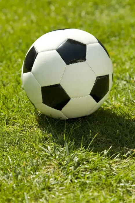 Framed Print : Football on a green lawn