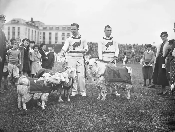Framed Print : Football Players with Their Navy Mascot Goat Framed Print : Football Players with Their Navy Mascot Goat