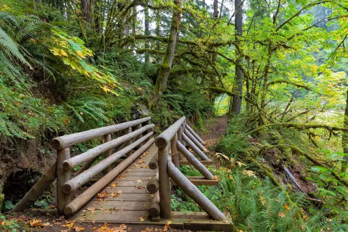 Framed Print : Footbridge at Butte Creek Hiking Trail Framed Print : Footbridge at Butte Creek Hiking Trail