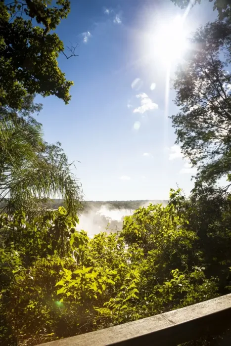 Framed Print : From a footbridge of IguaAzu Nationa Park Framed Print : From a footbridge of IguaAzu Nationa Park