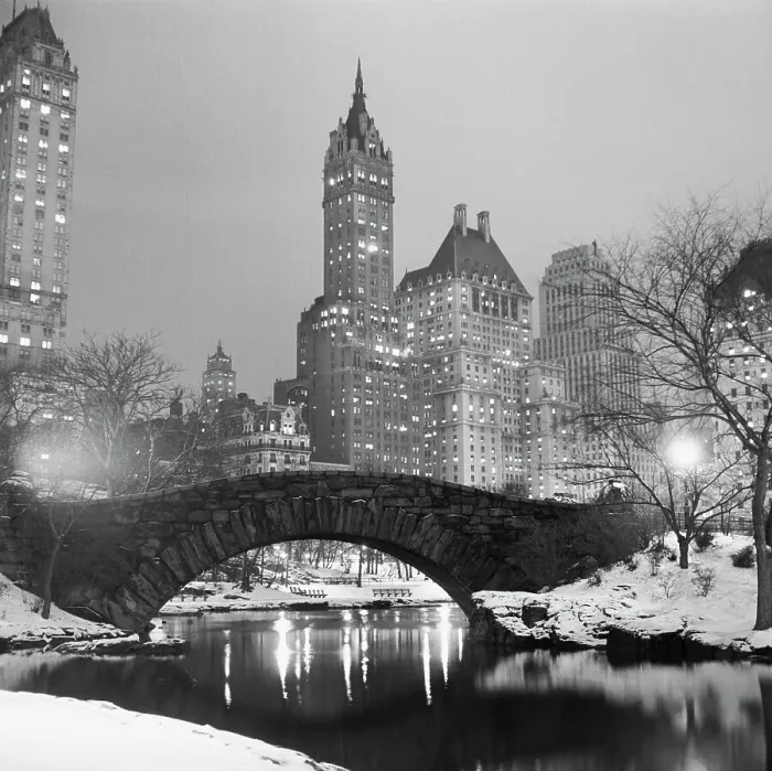 Framed Print : Footbridge in Snowy Central Park Framed Print : Footbridge in Snowy Central Park