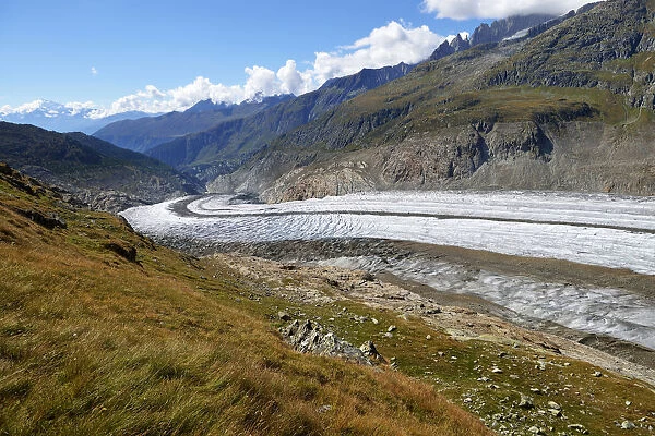 Foothills of the Great Aletsch Glacier, Canton of Valais, Goms, Switzerland