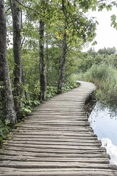 footpath - nationalpark plitzvicer lakes