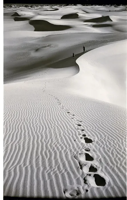 Framed Print : Footprints on Desert Dunes Framed Print : Footprints on Desert Dunes