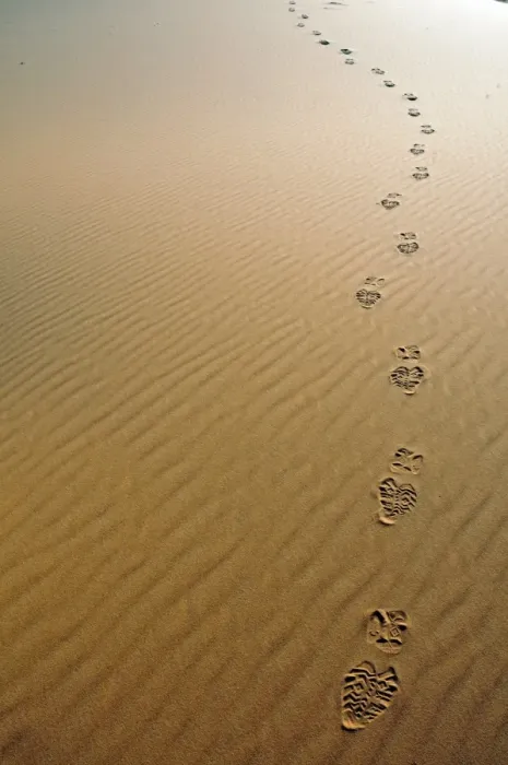 Framed Print : Footprints in the desert sand, sand dune of Erg Chebbi, Morocco, Africa