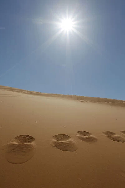 Footprints in the sand and the sun at Coral Pink Sand Dunes State Park, Utah, USA