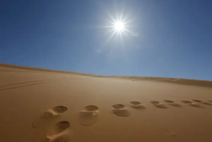 Framed Print : Footprints in the sand and the sun at Coral Pink Sand Dunes State Park, Utah, USA Framed Print : Footprints in the sand and the sun at Coral Pink Sand Dunes State Park, Utah, USA