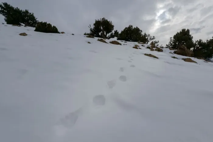 Framed Print : Footprints in snow, High Atlas Mountains, Imlil, Morocco Framed Print : Footprints in snow, High Atlas Mountains, Imlil, Morocco