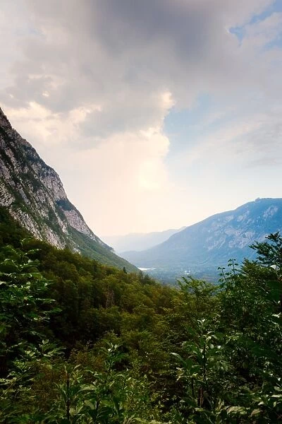 Forest and Julian Alps in Triglav National Park