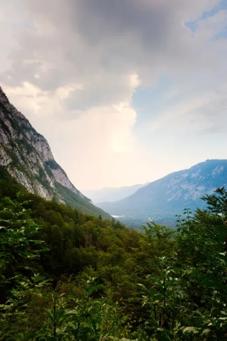 Framed Print : Forest and Julian Alps in Triglav National Park Framed Print : Forest and Julian Alps in Triglav National Park