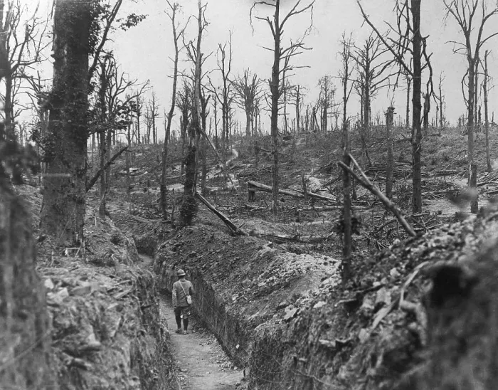 Framed Print : Forest Area Near Somme River in France During World War I Framed Print : Forest Area Near Somme River in France During World War I