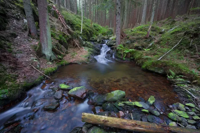 Framed Print : Forest brook with a little waterfall, long exposure Framed Print : Forest brook with a little waterfall, long exposure