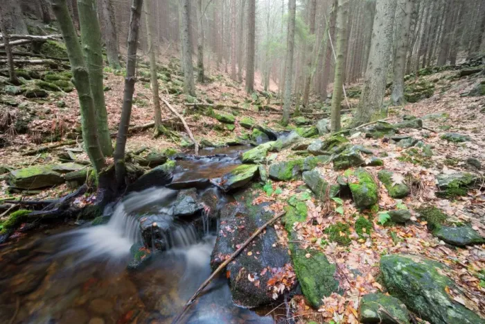 Framed Print : Forest brook (river) with moss covered stones, long exposure Framed Print : Forest brook (river) with moss covered stones, long exposure