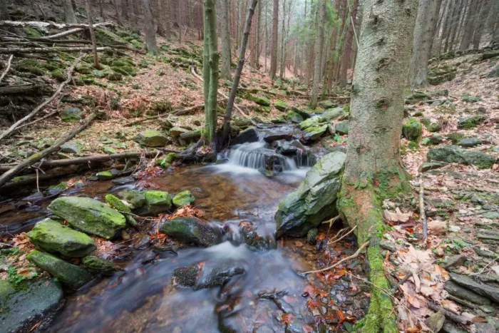 Framed Print : Forest brook (river) with moss covered stones, long exposure Framed Print : Forest brook (river) with moss covered stones, long exposure